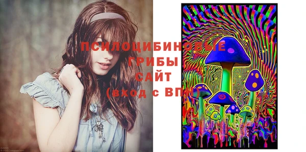 apvp Зеленокумск