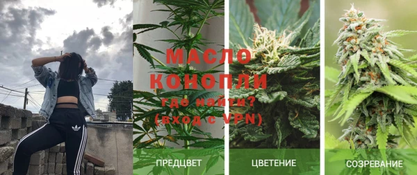 PSILOCYBIN Зерноград