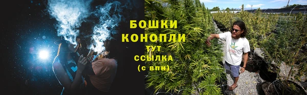 PSILOCYBIN Зерноград