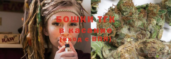 PSILOCYBIN Зерноград