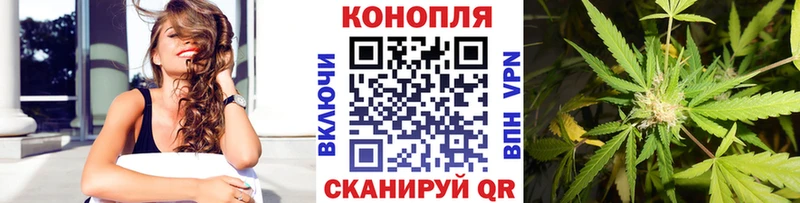 Бошки марихуана THC 21%  Купить закладки  Гагарин 